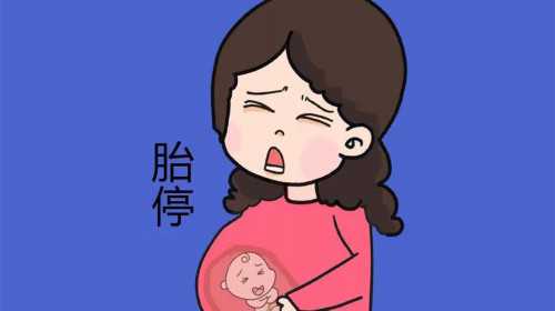 北京幸孕星试管婴儿真很好吗？,北京妇产医院生殖中心做试管的成功率高吗？