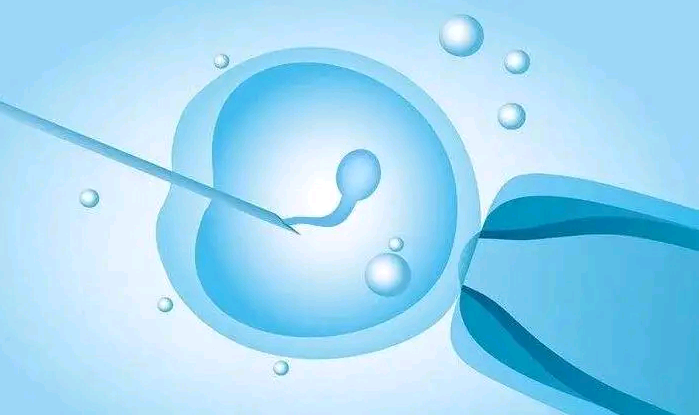 (a)代孕产子公司具体位置,丽水子宫内膜异位症做三代试管成功率高不高，子宫