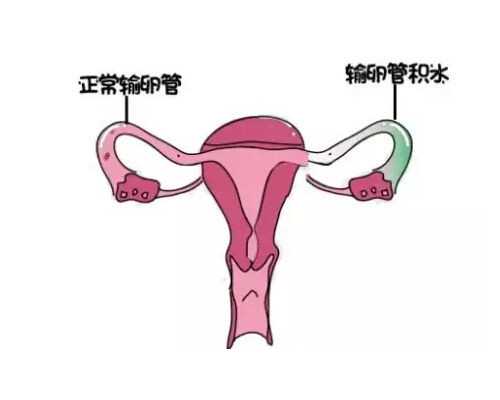 实探亚洲最大社区回龙观：北京人家的居住体验怎么样？