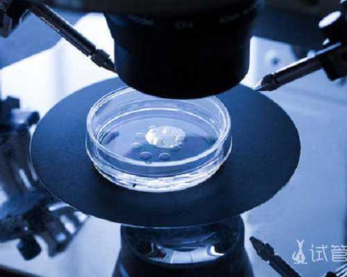 北京有合法助孕的医院吗,北京协和可以排队做供卵试管婴儿吗？,在北京做一个