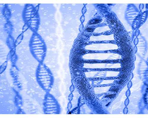 吃地屈孕酮片为啥14天后验孕白板？吃地屈孕酮片的漏服