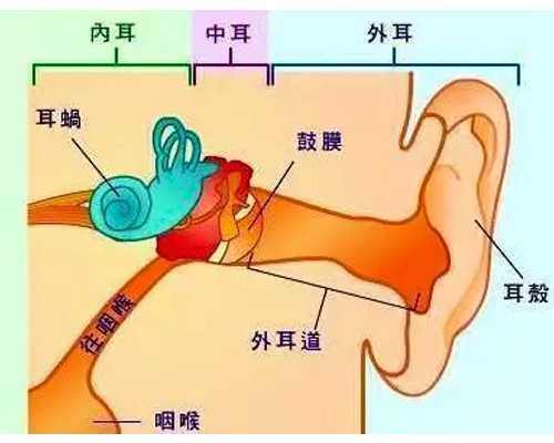 巧囊做试管婴儿打达菲林多久能移植~哪做代怀好