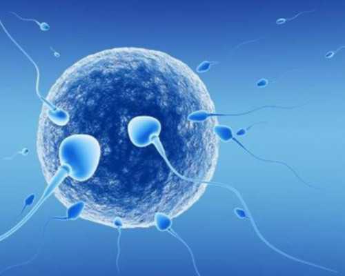 北京供卵中心价位,北京治宫颈炎要多少钱