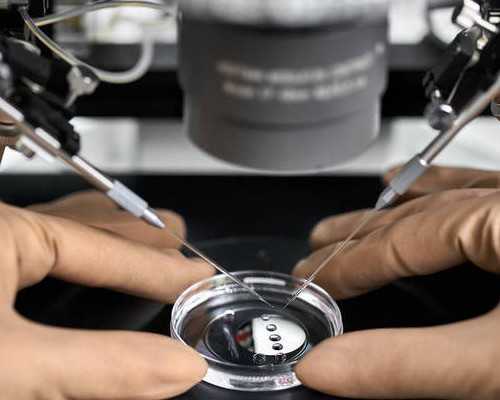 北京试管代孕怀双胞胎几率|拉萨供卵助孕机构排名，2023周边热门试管婴儿医院