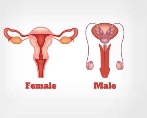 查性激素六项的最佳时间：月经的2-4天做比较合适。