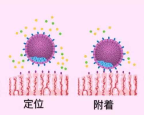 为什么医生不建议查HCG~助孕机构排名