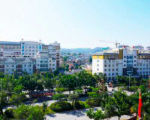 雪诺酮没吸收的效果是什么样雪诺酮什么样是没吸收