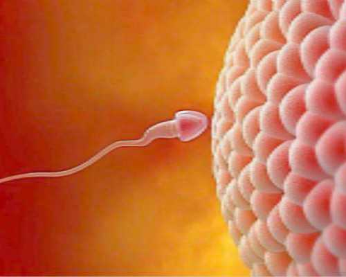 地屈孕酮片吃多久月经能恢复正常~试管代生官网