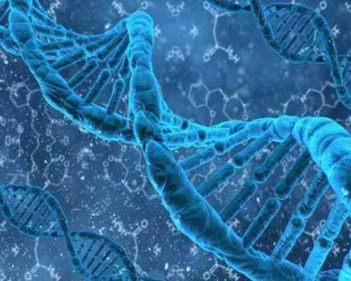 北京代孕哪里好,「喜冲冲」北京试管公司