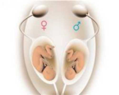 北京做助孕成功率高的公司,想在北京同济医院做输卵管复查，这家机构正规吗