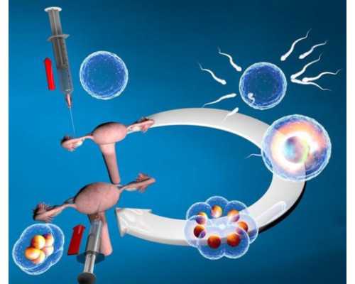北京哪些地方做供卵试管,北京协和医院做试管婴儿多少钱？一次试管婴儿很贵