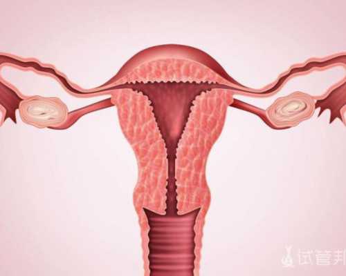 北京代孕包成功价格|包头供卵试管婴儿哪个医院好？包钢医院成功率怎么样？