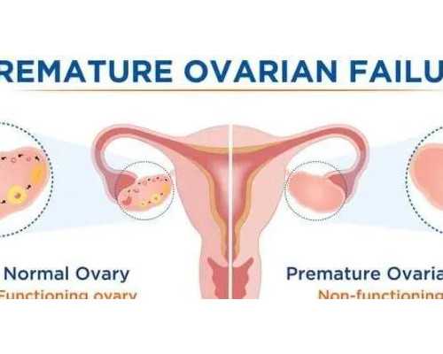 北京做供卵试管费用高吗,在北京大学人民医院做无创dna需要抽血吗？