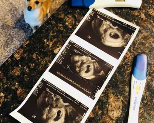 北京试管代怀机构,2023年北京三代试管医院排行榜，北京第三医院排名第二