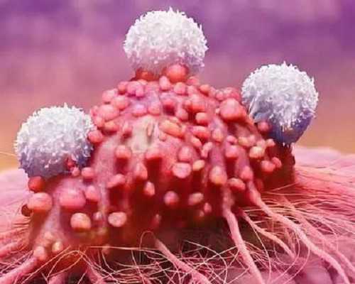 备孕吃胡萝卜好吗胡萝卜是碱性食物吗