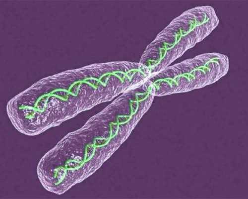 北京三代供卵试管中心|北京助孕公司哪家成功率高，北京试管婴儿费用大约多