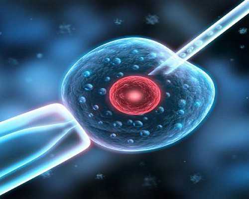 北京助孕机构招聘信息电话,2023年在北京妇产医院做一次试管婴儿大概要多少钱