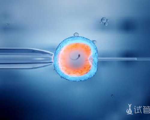 达芙通和黄体酮的区别是什么~借卵代生男孩