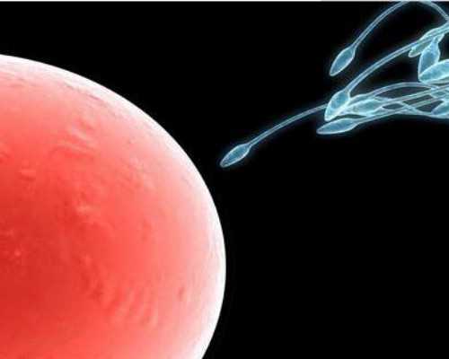 北京高端代孕套餐,北京供卵试管医院名单大全附北京供卵试管费用参考