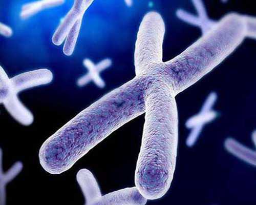 北京支持教师“弹性上下班”，破解义务教育“四点半”难题