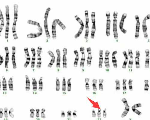 女性卵巢早衰还能怀孕生子吗？~捐卵招聘