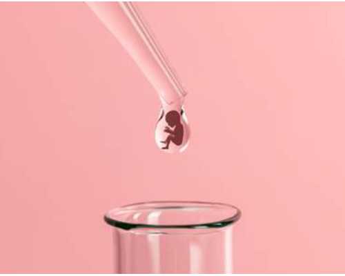 北京助孕供卵代生|北京助孕公司|北京供卵试管医院|北京试管供卵试管机构_北