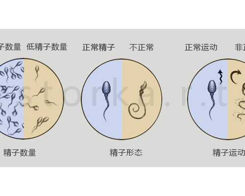 北京代怀宝妈网站,北京哪里做试管婴儿好