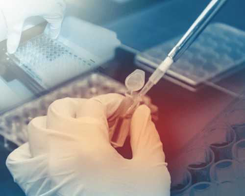 北京供精供卵做试管|北京供卵试管机构有哪些