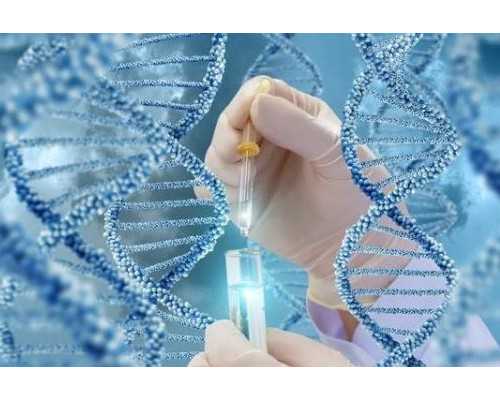 北京供卵正规来源,2024北京协和医院供卵试管多少钱？附北京供卵试管费用一览