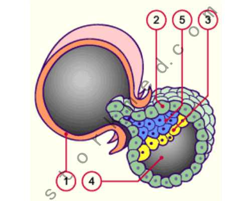 北京上户口亲子鉴定多少钱？（2023价格明细）