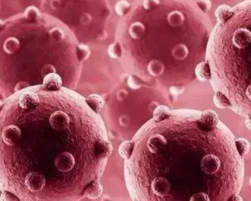 北京借卵去哪做,北京哪些私立医院可以做供卵试管？私立医院试管成功率高吗