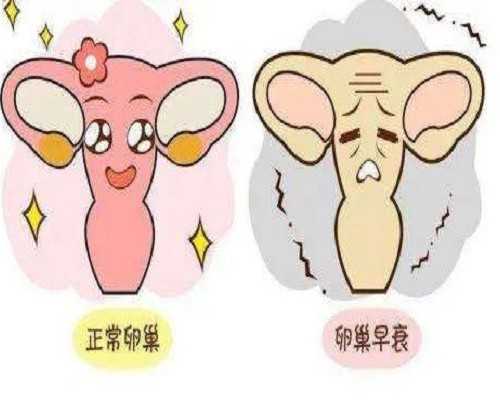 北京代怀花费,有做供卵的吗在北京,北京有做供卵的医院吗