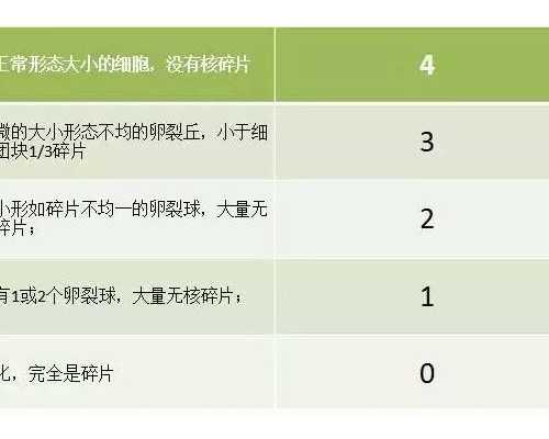 试管婴儿如何进行？~代妈微信交流