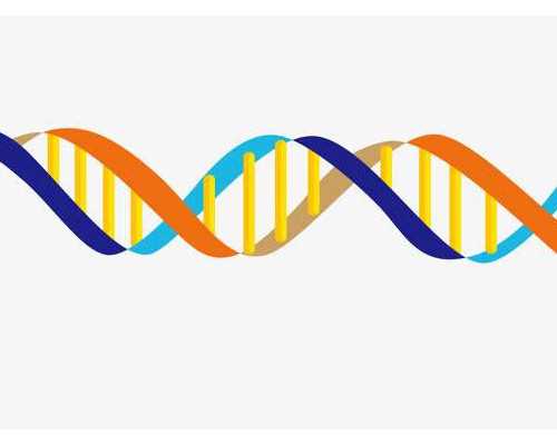 试管移植后吃达芙通起什么作用？试管移植后吃多久达芙通？~正规代生助孕
