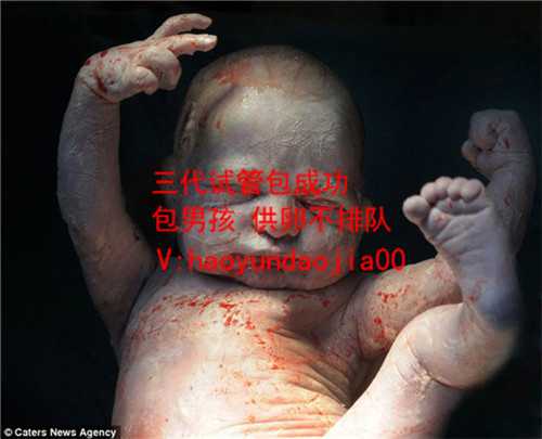 北京供卵私人机构_北京供卵要不要选择性别_为什么怀孕期间有早孕