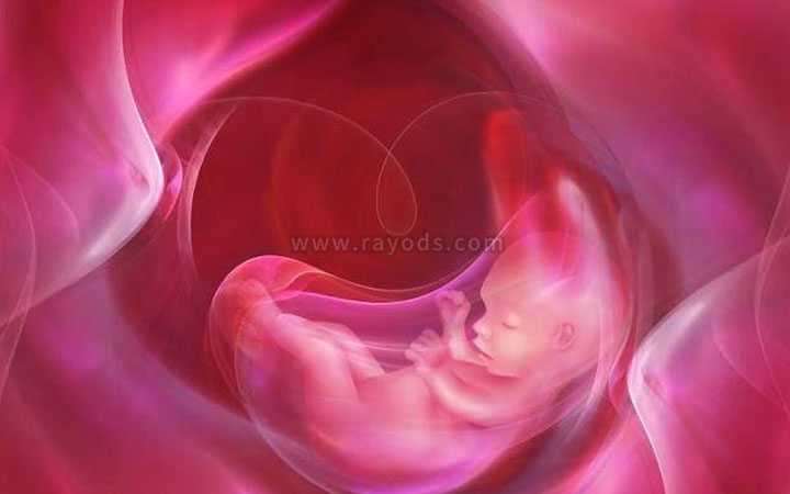 静安36岁自卵和赠卵成功率_试管婴儿胚胎移植到子宫后几天可以着床