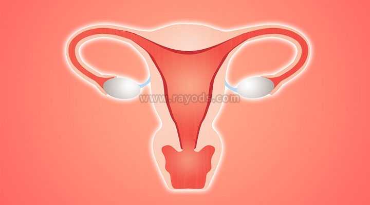 丽水借卵生子dna_丽水借卵三代试管_子宫内膜薄做试管婴儿移植前做宫腔灌注的