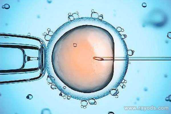 秦皇岛绝经后能不能借卵生子_第三代试管婴儿技术可以解决胚胎质量差问题吗