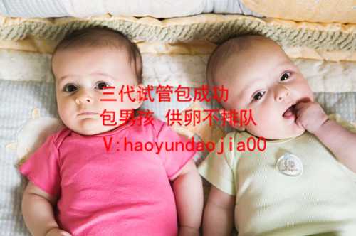 北京第三方辅助生殖机构_北京借卵子做试管婴儿吗_怀孕两个月的胎儿芽有多大
