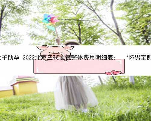 北京供卵生子助孕 2022北京三代试管整体费用明细表： ‘怀男宝侧面b超图’