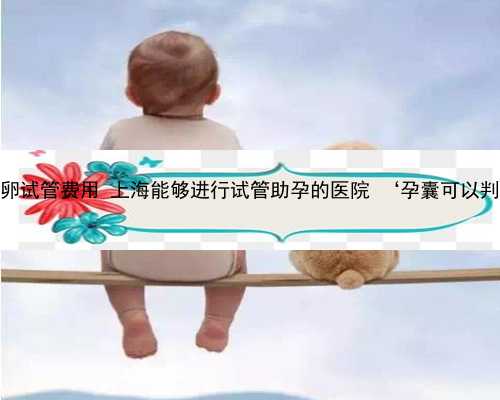 上海私立医院供卵试管费用 上海能够进行试管助孕的医院 ‘孕囊可以判断男孩