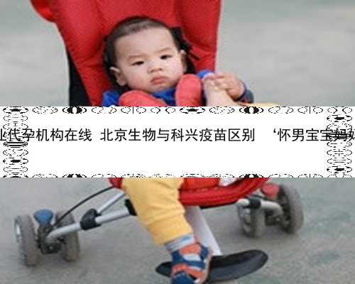北京专业代孕机构在线 北京生物与科兴疫苗区别 ‘怀男宝宝妈妈特征’
